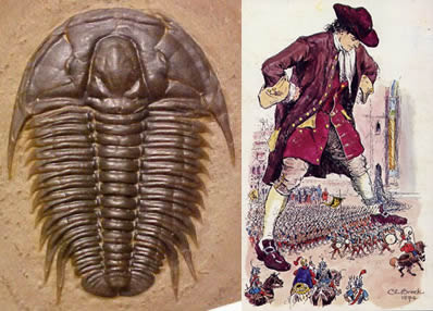 Illustration for article titled 30 Real Animals with Science Fiction Names